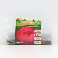 Пион Cytherea, корневище в пакете с торфогрунтом, р-р 2/3, 1 шт.