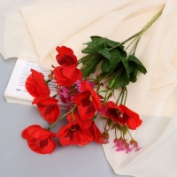 Букет &laquo;Нимезия галант&raquo;, 5&times;27 см, МИКС