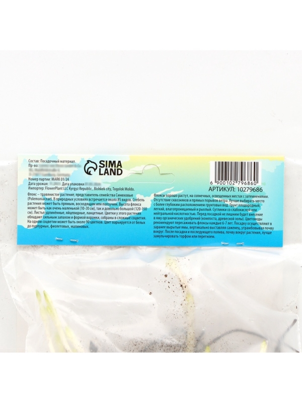 Флокс &laquo;Даниэль&raquo; корневище в пакете с торфогрунтом, р-р I, 2 шт.