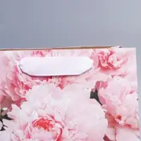 Пакет подарочный крафтовый, упаковка, &laquo;8 марта&raquo;, MS 23 х 18 х 10 см