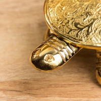 Сувенир шкатулка &laquo;Черепаха с цветочным узором&raquo;, латунь, 12&times;7&times;4.5 см