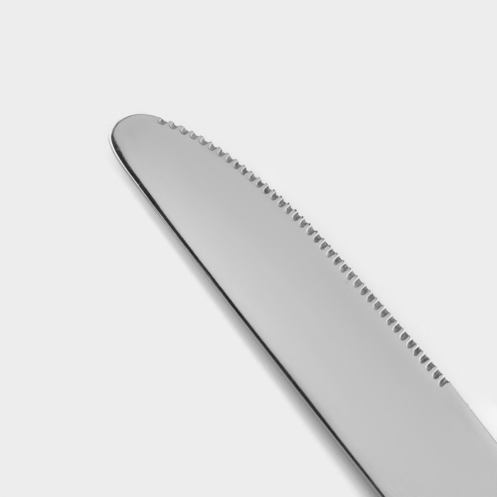 Ножи столовые из нержавеющей стали Доляна &laquo;Капля&raquo;, длина 23 см, 6 шт, цвет серебряный