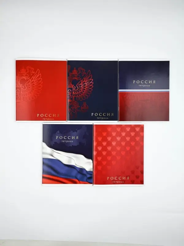 Тетради в клетку, 48 л., набор из 5 шт., блок №1 &laquo;Патриотизм&raquo; матовая ламинация, тиснение