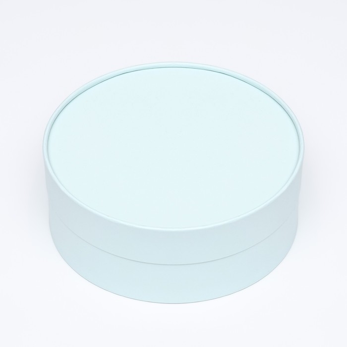 Подарочная коробка "Нежность" лагуна, завальцованная без окна, 21 х 8 см