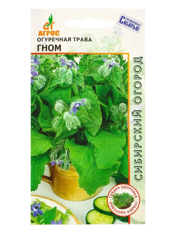 Семена Огуречная трава "Гном" 0,5 г
