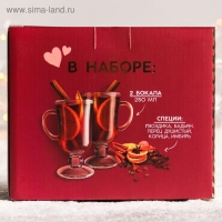 Подарочный набор для глинтвейна &laquo;Твоя улыбка&raquo;: специи 30 г, бокалы 250 мл, 2 шт.