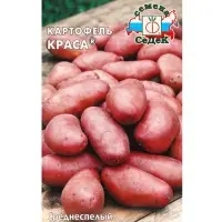 Семена Картофель  "Краса "0.02 г