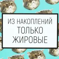 Ланч-бокс &laquo;Накопления&raquo;, 500 мл