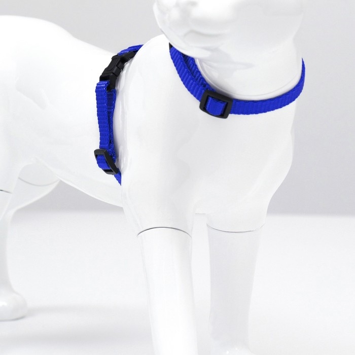 Комплект для кошек, ширина 1 см, ОШ 16,5-27 см, ОГ 21-35 см, поводок 120 см, синий