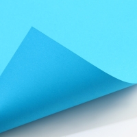 Картон цветной с блёстками, А4, 8 листов, 8 цветов, немелованный, двусторонний, в папке, 250 г/м&sup2;, Коты Аристократы