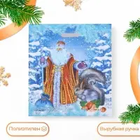 Пакет &laquo;Дед Мороз и Снегурочка&raquo;, полиэтиленовый с вырубной ручкой, 41&times;51 см