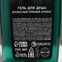 Подарочный набор косметики &laquo;Самому лучшему мужчине в Новый Год&raquo;, гель для душа и шампунь для волос, 2 х 250 мл, ЧИСТОЕ СЧАСТЬЕ