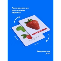 Головоломка &laquo;Развивающие карточки. Фрукты&raquo;