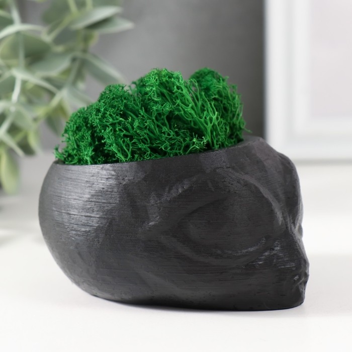 Кашпо бетонное Кашпо бетонное "Пришелец" высота 5 см, d-6 см черный со мхом (мох зелен. стабилизир)