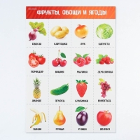 Набор обучающих плакатов &laquo;Изучаем мир&raquo;, 10 в 1, А4