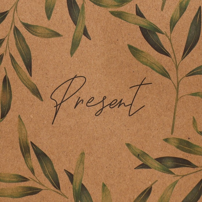 Пакет подарочный крафтовый, упаковка, &laquo;Подарок&raquo;, ML 23 х 27 х 11.5 см