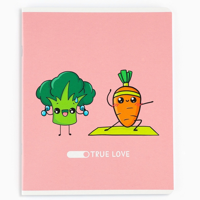 Тетрадь в клетку, 48 листов А5 на скрепке , внутренний блок №1 МИКС &laquo;1 сентября: Истинная любовь&raquo; ВД лак