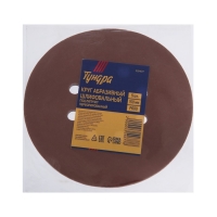 Круг абразивный шлифовальный под "липучку" ТУНДРА, перфорированный, 150 мм, Р600, 5 шт.