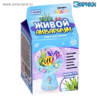 Набор для опытов &laquo;Живой аквариум-флорариум&raquo;, с морскими обитателями