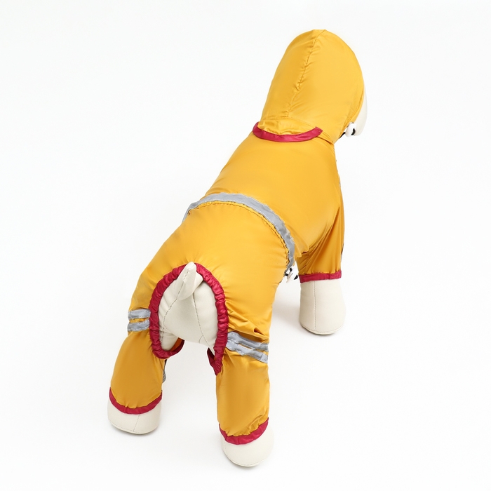 Комбинезон для собак, демисезонный, размер XS (ДС 17-19, Ог 27-29, ОШ 19-21 см), жёлтый Комбинезон для собак, демисезонный, размер XS (ДС 17-19, Ог 27-29, ОШ 19-21 см), жёлтый