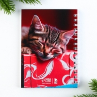 Подарочный набор новогодний, блокнот на спирали А6, 60листов и магнитные закладки 2 шт. &laquo;Я твой подарочек&raquo;