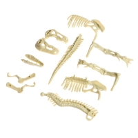 Набор для опытов &laquo;Время динозавров&raquo;, тиранозавр, в пакете