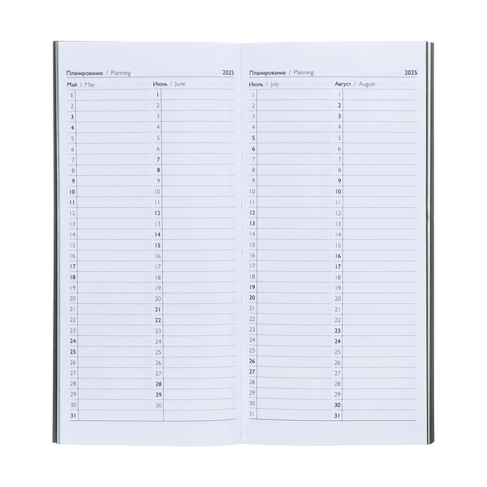 Еженедельник датированный 2025 года, 80х165 мм, 64 листа ESCALADA, мягкая обложка из искусственной кожи, блинтовое тиснение, блок 70 г/м&sup2;, зелёный