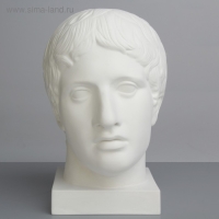 Гипсовая фигура Голова Дорифора, 21 х 29 х 35 см