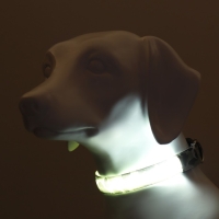 Ошейник с подсветкой Милитари 3 режима свечения размер L, ОШ 48-60 х 2,5 см серый Ошейник с подсветкой Милитари 3 режима свечения размер L, ОШ 48-60 х 2,5 см серый