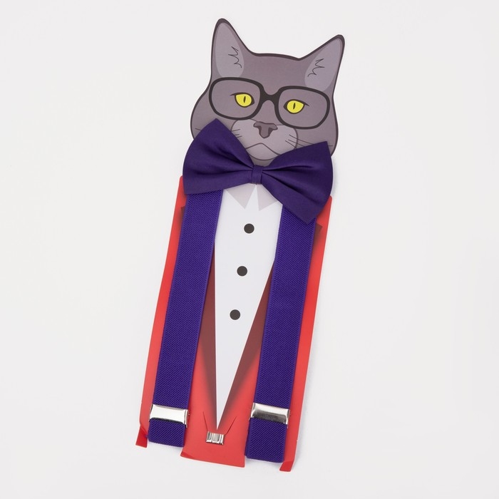 Подтяжки детские &laquo;Выбражулька&raquo;, ширина 2.5 см, бабочка, цвет фиолетовый