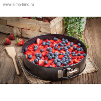 Форма для выпечки Доляна &laquo;Элин. Круг&raquo;, d=24 см, съёмное дно, антипригарное покрытие, цвет чёрный