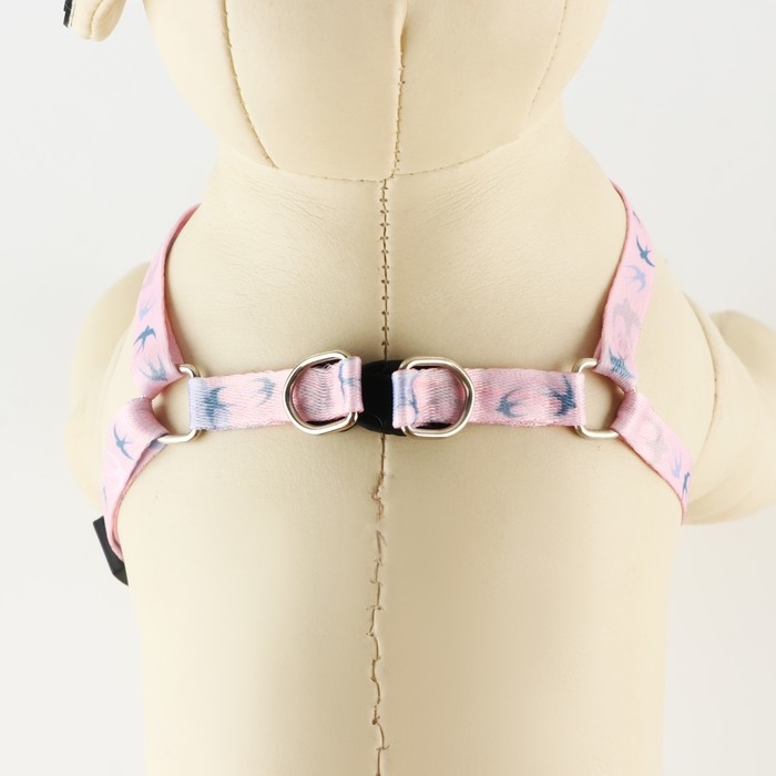 Комплект &laquo;Ласточки&raquo;, шлейка 24-36 см, поводок 120х1 см