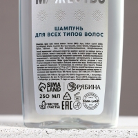 Подарочный набор косметики новогодний &laquo;Твои возможности безграничны&raquo;, гель для душа и шампунь для волос , 2 х 250 мл, Новый Год