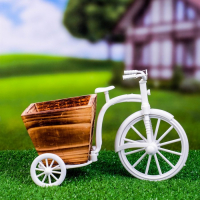 Кашпо-велосипед 26х12х18см Кашпо-велосипед 26х12х18см