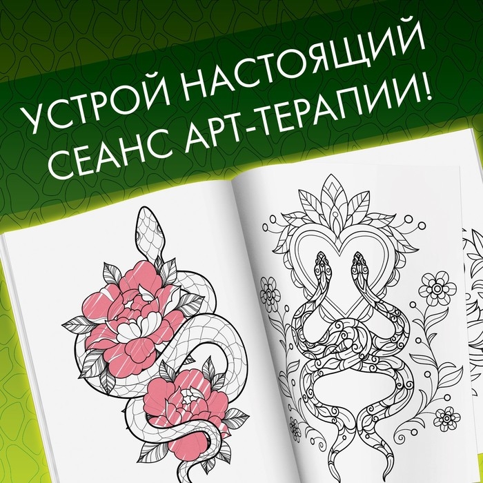 Раскраска &laquo;Прекрасные и опасные змеи&raquo;, 20 &times; 28, 32 раскраски, формат А4