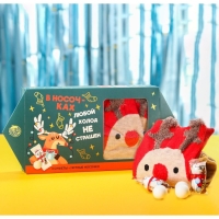 Подарочный набор &laquo;В носочках любой холод не страшен&raquo; : конфеты, носки