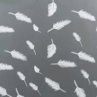 Пленка для цветов, матовая,"Перья", белый, 0,6 х 9м ±5% Пленка для цветов, матовая,"Перья", белый, 0,6 х 9м ±5%
