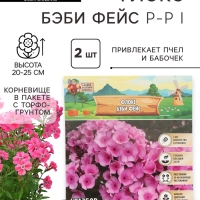 Флокс &laquo;Бэби Фейс&raquo; корневище в пакете с торфогрунтом, р-р I, 2 шт.
