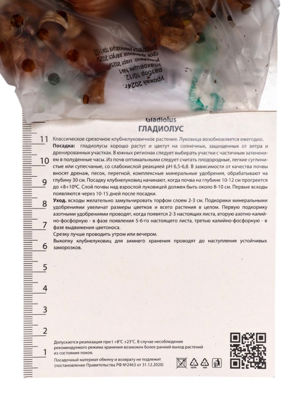 Гладиолус крупноцветковый «Джестер», луковица цветов в пакете с перфорацией, р-р 10/12, 10 шт. Гладиолус крупноцветковый «Джестер», луковица цветов в пакете с перфорацией, р-р 10/12, 10 шт.