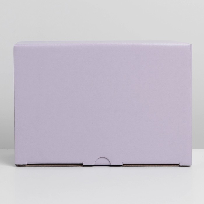 Коробка подарочная складная, упаковка, &laquo;Лавандовая&raquo;, 22 х 15 х 10 см