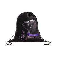 Мешок для обуви, 435&times;360 мм, Stavia (плотность 600D) &laquo;Собачка&raquo;