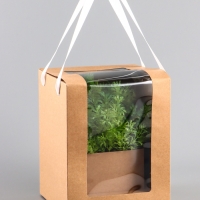 Коробка для цветов, 16 х 16 х 20 см, крафт