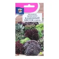 Набор семян Молодило "КАМЕННЫЙ ЦВЕТОК", смесь, 5 шт.