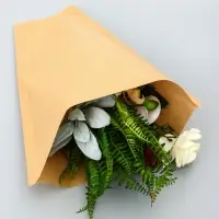 Пакет - конус крафт, 12+35&times;40 см