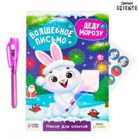 Набор для опытов &laquo;Волшебное письмо Деду Морозу: Кролик&raquo;