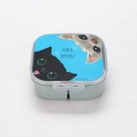 Ланч - бокс с секциями и ложкой &laquo;Коты&raquo;, 17,8 х 17,8 х 7 см