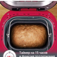 Хлебопечка Pain & Plaisir OW220830, черный, 720 Вт