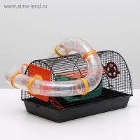 Клетка для грызунов "Саквояж", малая, с лабиринтом, 40 х 25 х 21 см, микс цветов Клетка для грызунов "Саквояж", малая, с лабиринтом, 40 х 25 х 21 см, микс цветов