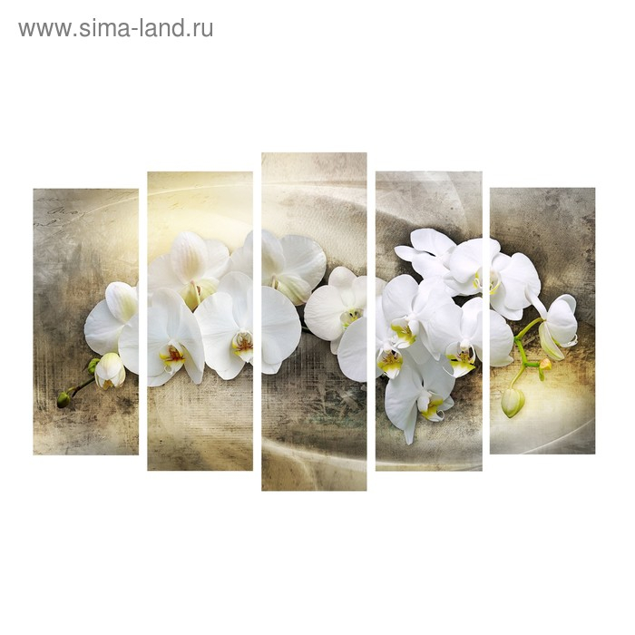 Картина модульная на подрамнике Картина модульная на подрамнике "Белый фаленопсис" 2-25*63; 2-25*71; 1-25*80: 125*80 см