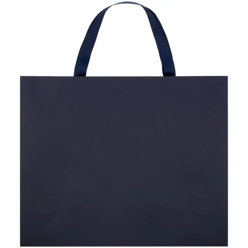 Пакет бумажный Manilla L, синий